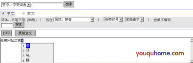 在线输入系统