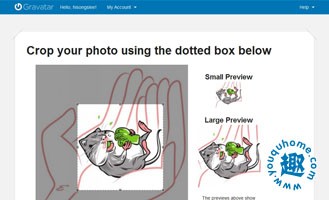 gravatar头像设置流程 gravatar头像设置流程