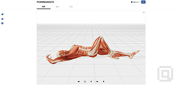 3D版人体肌肉姿势模型-POSEMANIACS